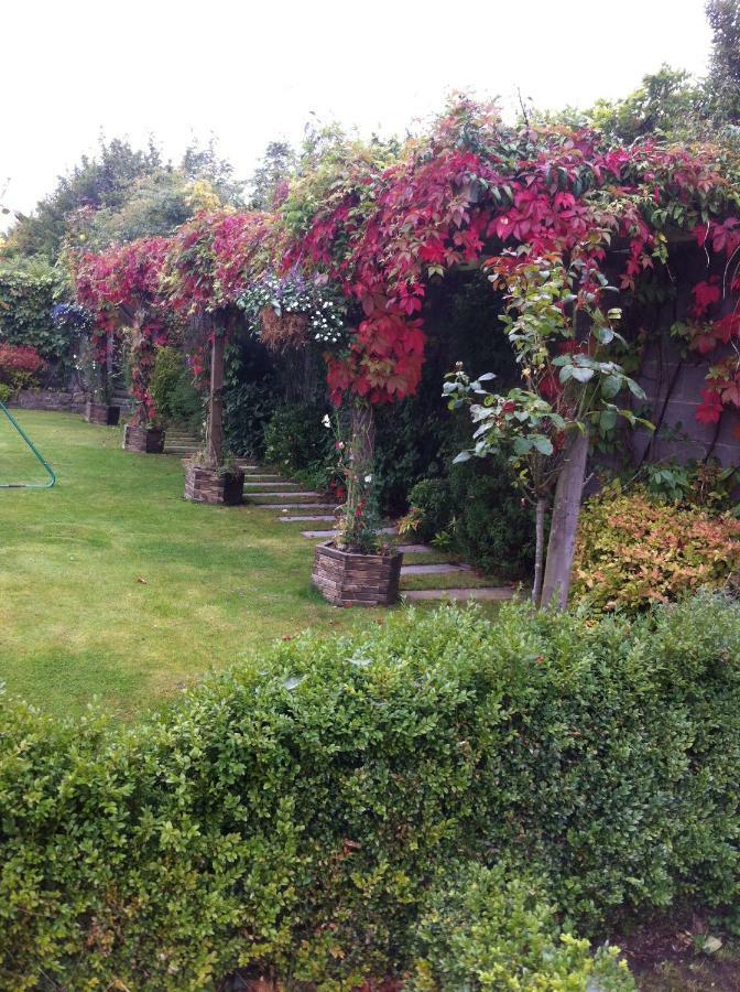 Knightsbrook Guesthouse Trim Bagian luar foto